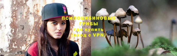 гидропоника Абаза