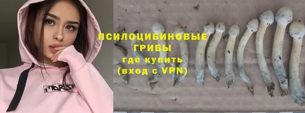 метадон Россошь