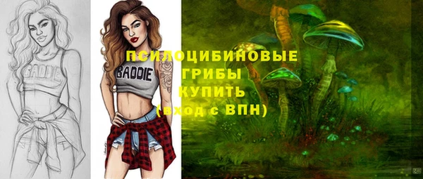 гидропоника Абаза