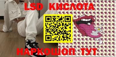 шишки Лесосибирск