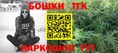 шишки Лесосибирск