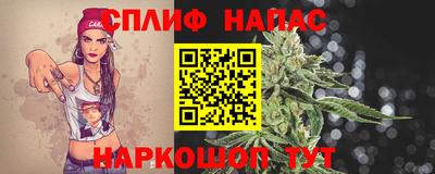 СК Ливны
