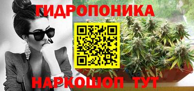 шишки Лесосибирск