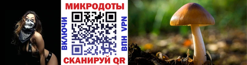 Галлюциногенные грибы Psilocybe магазин продажи наркотиков Ишимбай
