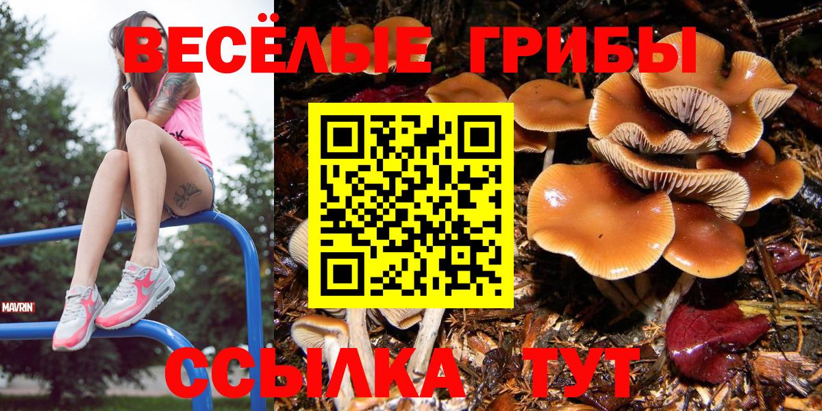 Псилоцибиновые грибы Magic Shrooms Ишимбай