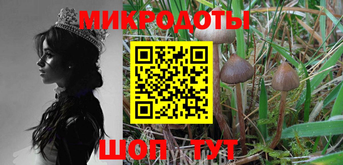 Ишимбай  Псилоцибиновые грибы Psilocybe  Вход с VPN 